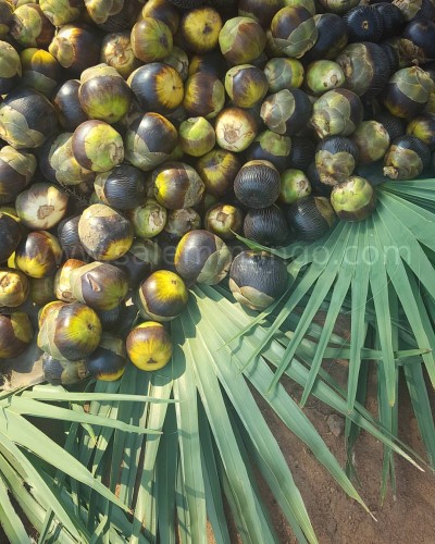  Best foods for summer heat| Top 7 foods to Cool 