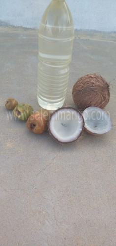 Organic Coconut online delivery