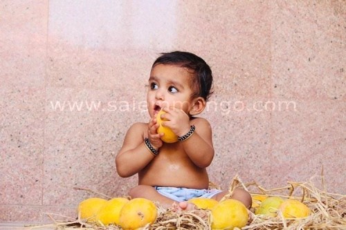 Salem Mangoes Online