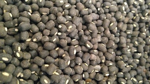 Unpolished Legumes | black gram | urad dhal online