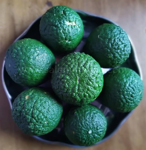 Fresh Kadarangai fruit online | Kaffir Lime 