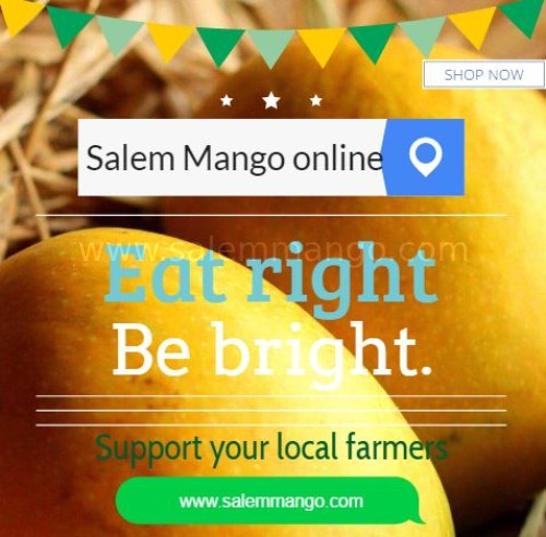 Salem Organic mangoes