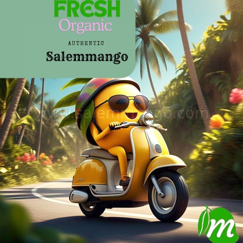 Where to buy mangoes online India | Salemmango