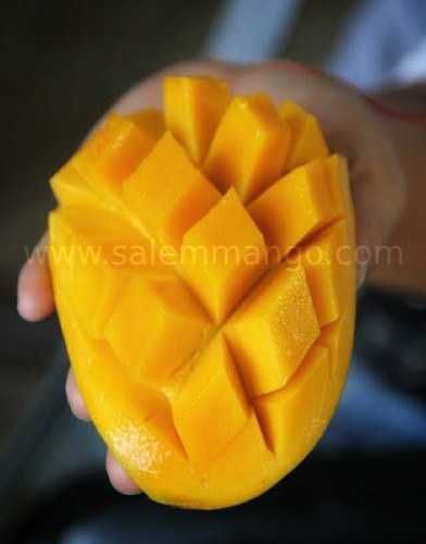 Langra |malda mango season |1 kg price| online
