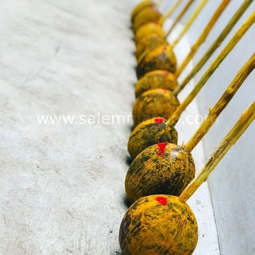 Aadi sale offers | Salemmango | Coconuts Free