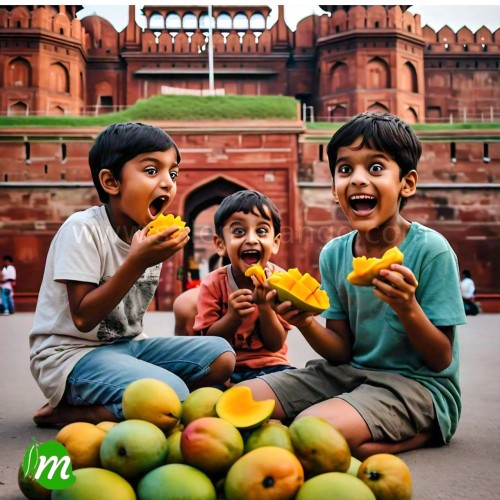 Alphonso mango | 1 kg Mango Delivery Delhi