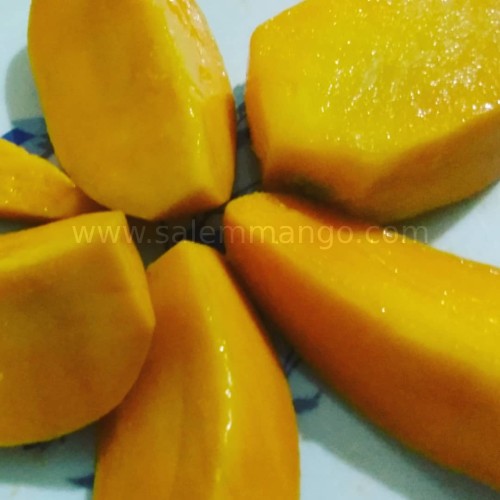 Best place to buy mangoes online