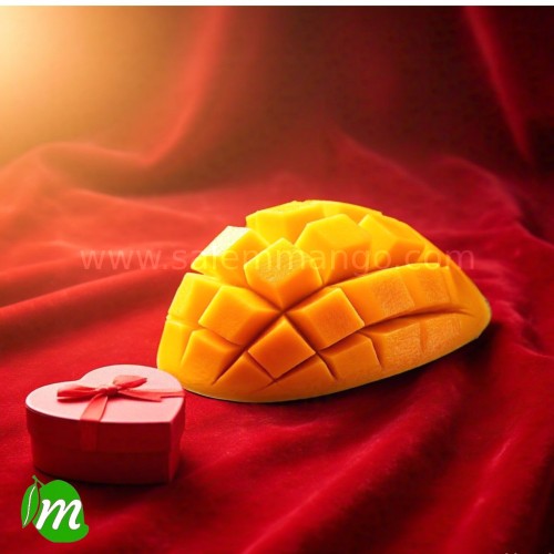 Top 5 Gift ideas for Lovers | Send Romantic Gifts