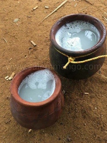 Coconut Jaggery online | Pure organic coconut Sap