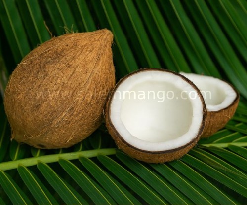Coconut online order in India