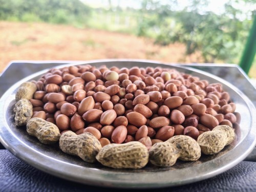 Organic Peanuts: Nutrition, Benefits & Uses