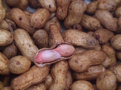 Organic Peanuts: Nutrition, Benefits & Uses