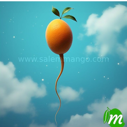 How Mangoes naturally boosts Sperms Health