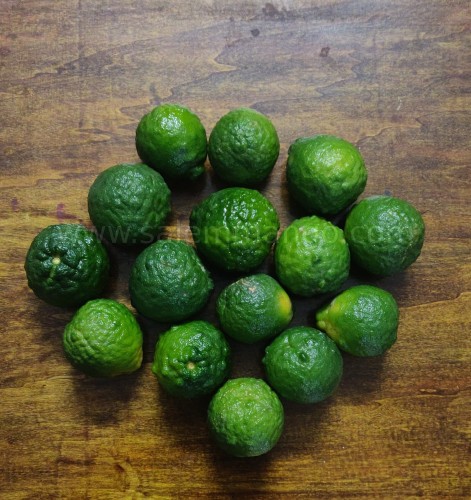 Narthangai & kaffir lime fresh leaves online