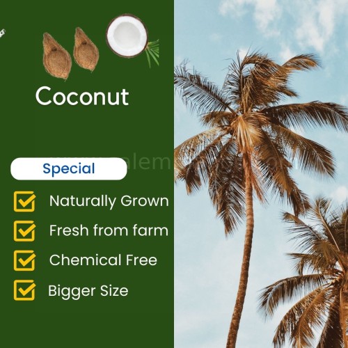Organic Fresh Coconut Online | Home delivery