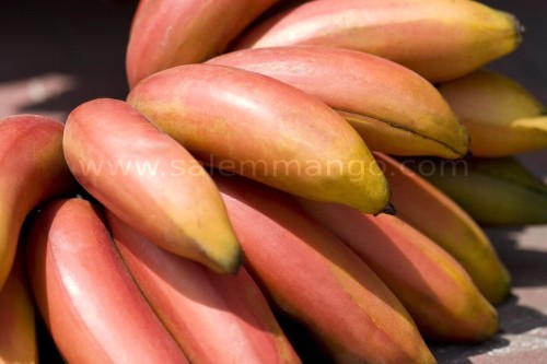 Organic Red Banana online | Sevvalai palam