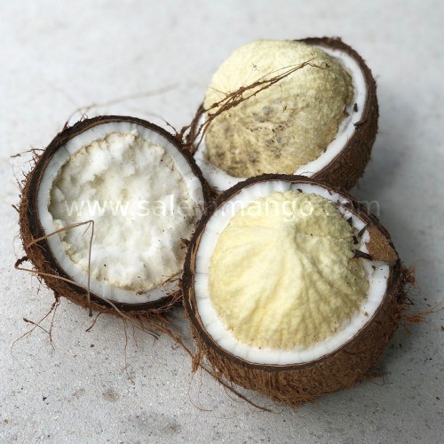 Organic Coconut online delivery