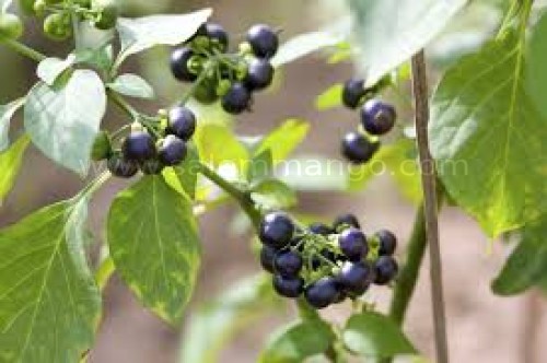 Period tips for Girls | Safe Periods