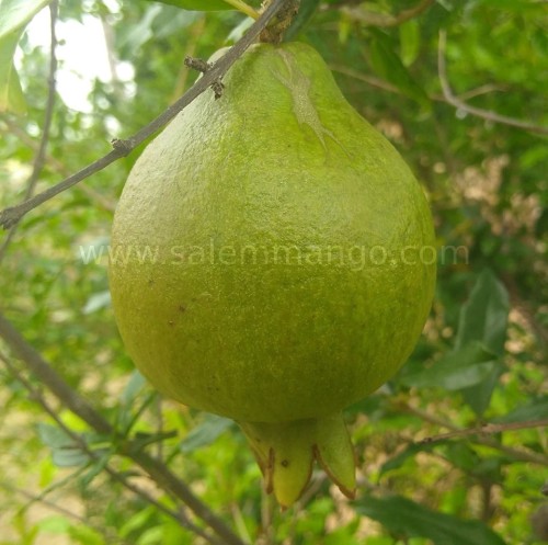 Period tips for Girls | Safe Periods