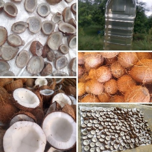 Best Coconut oil for cooking| Cold Pressed