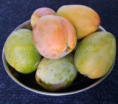 Chakkarakutti | Sugar Baby mango online