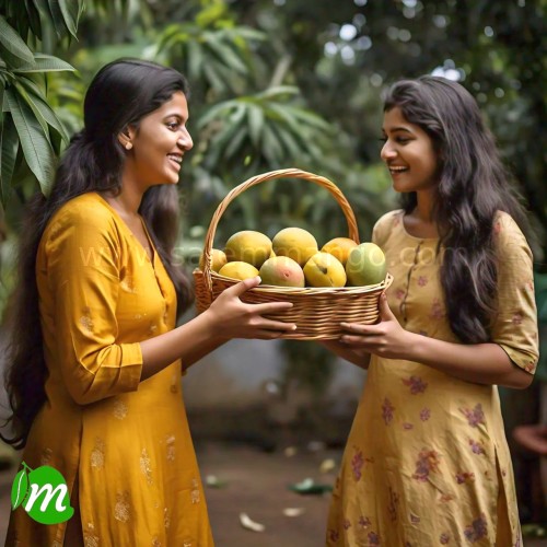 Salem Fresh Mango Online 