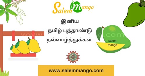 Tamil New Year | Visu | Ugadhi Offers| Salem Mango
