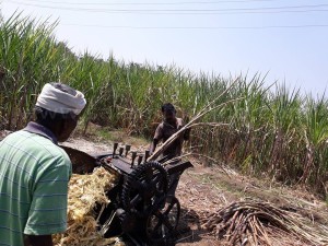  Best foods for summer heat| Top 7 foods to Cool 