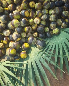  Best foods for summer heat| Top 7 foods to Cool 