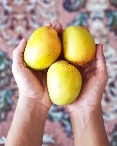 Buy Salem Mango online in coimbatore 