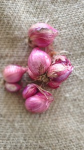 Health Benefits of Small Onion