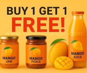 Buy 1 Get 1 Free Online | Diwali Deals & Offers