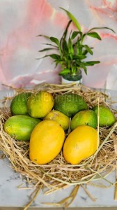 Mallika Mangoes in Bangalore | Carbide Free mangos