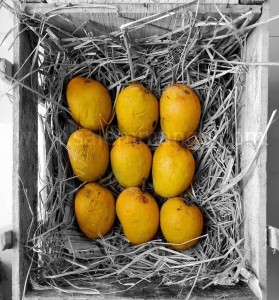 Trusted online mango seller in Hyderabad