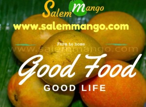 Salem Farm Mango | Tree Ripened Mangoes from Salem