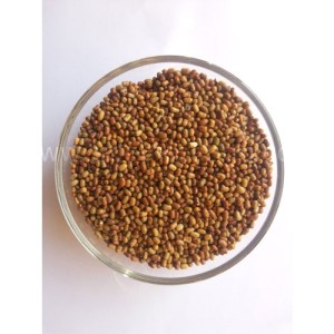 Best Millets for Diabetes? Native Millets