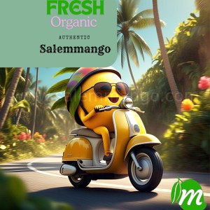 Where to buy mangoes online India | Salemmango