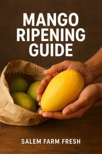 How to Identify Naturally Ripen Mango vs Chemical 