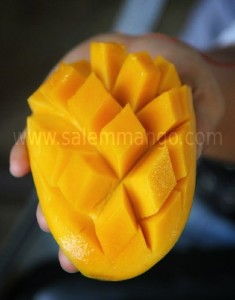 Langra |malda mango season |1 kg price| online