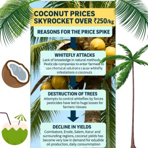 Copta Price Coconut copra prices hits sky rocket | Fresh Coconut online