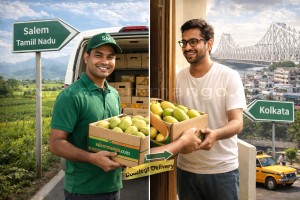 Alphonso Mango in Kolkata