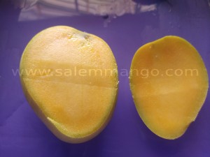 Organic Banganapalli mangoes Online -Home deliver