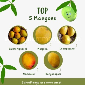 Best place to buy mangoes online