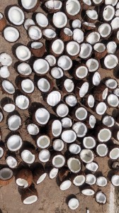 Pure Virigin Cold Pressed coconut oil online