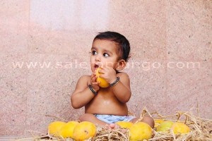 Buy banganapalli mango online in bangalore