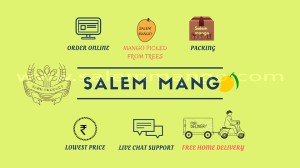 Buy Mangoes online delivery in trichy | Salemmango