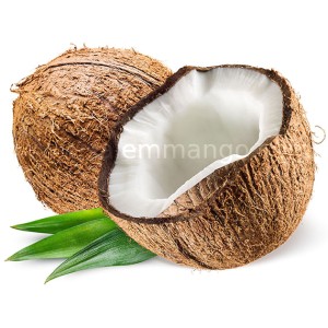 Buy Premium bulk coconut oil in India
