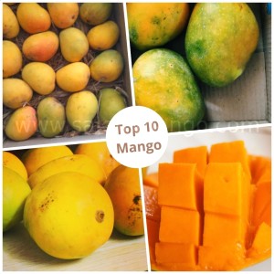 world best mango in india