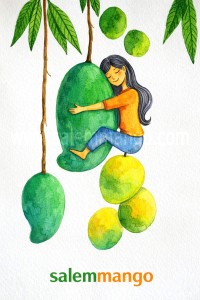 El Niño and Mango Farming 2026