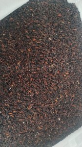 Forbidden rice | Black rice - Benefits and Uses